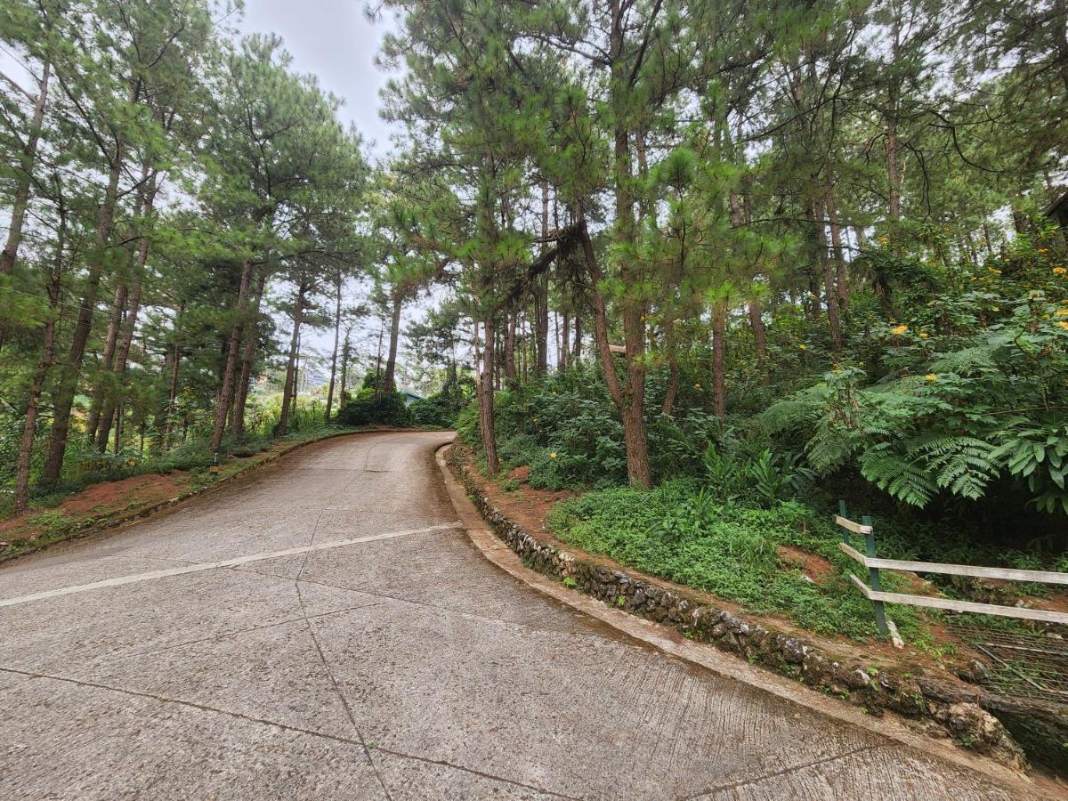 Baguio Hillside Haven Apartman Baguio City Kültér fotó